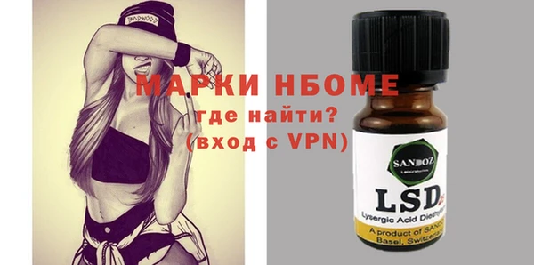 прущие грибы Нягань