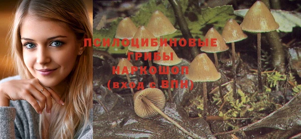 герыч Няндома