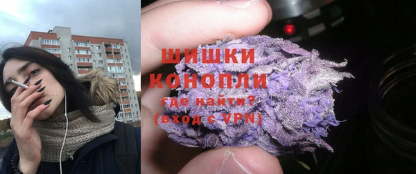 прущие грибы Нягань