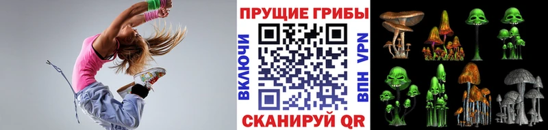 Псилоцибиновые грибы Psilocybine cubensis  Купить где  Кувшиново 